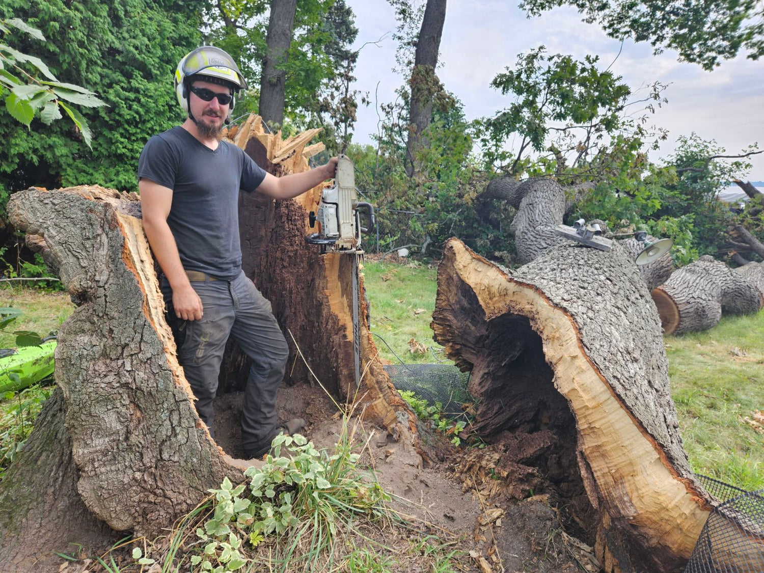 Logan posing in a dead tree with a chainsaw